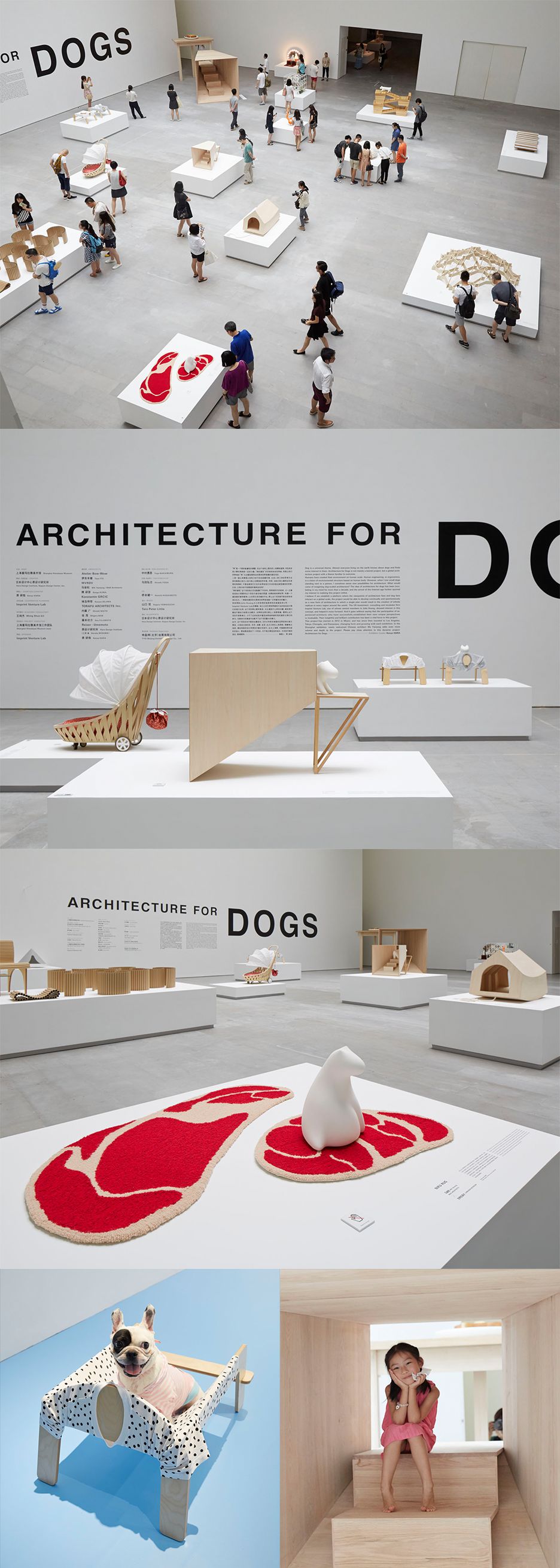 犬のための建築、中国「上海ヒマラヤ美術館」に巡回