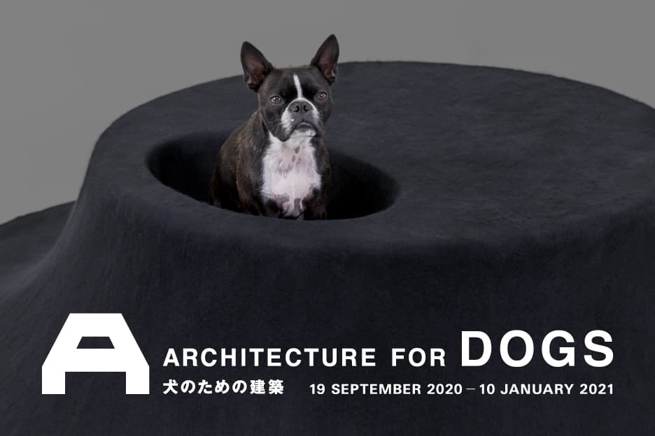 犬のための建築 at Japan House London