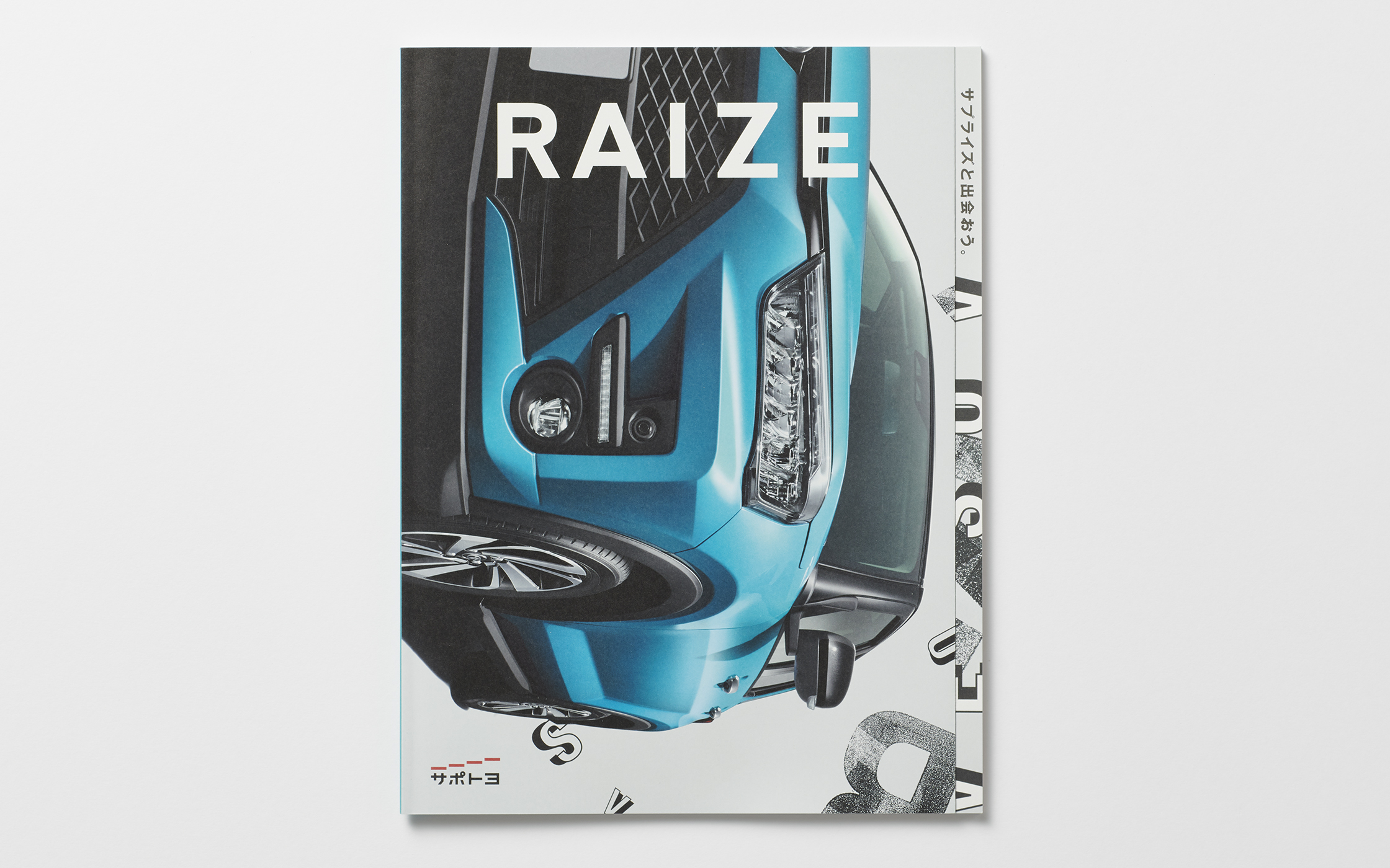 RAIZE Catalog