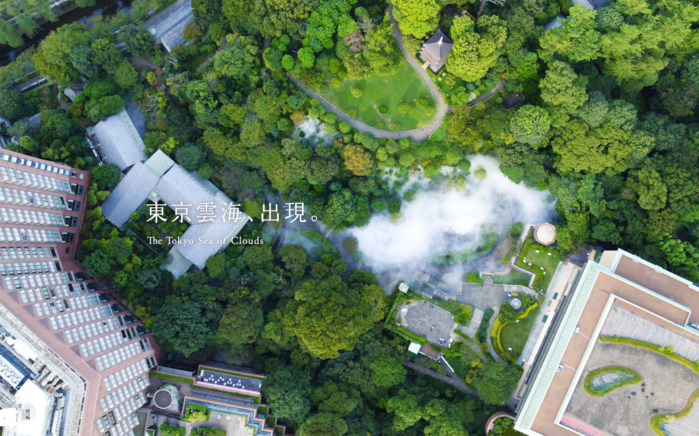 The Tokyo Sea of Clouds