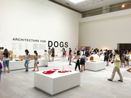 犬のための建築 上海巡回展